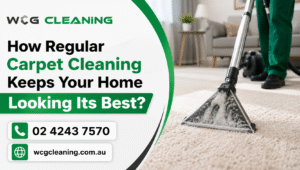 Carpet Cleaning Shell Cove