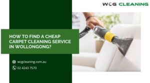 Carpet Cleaning Wollongong